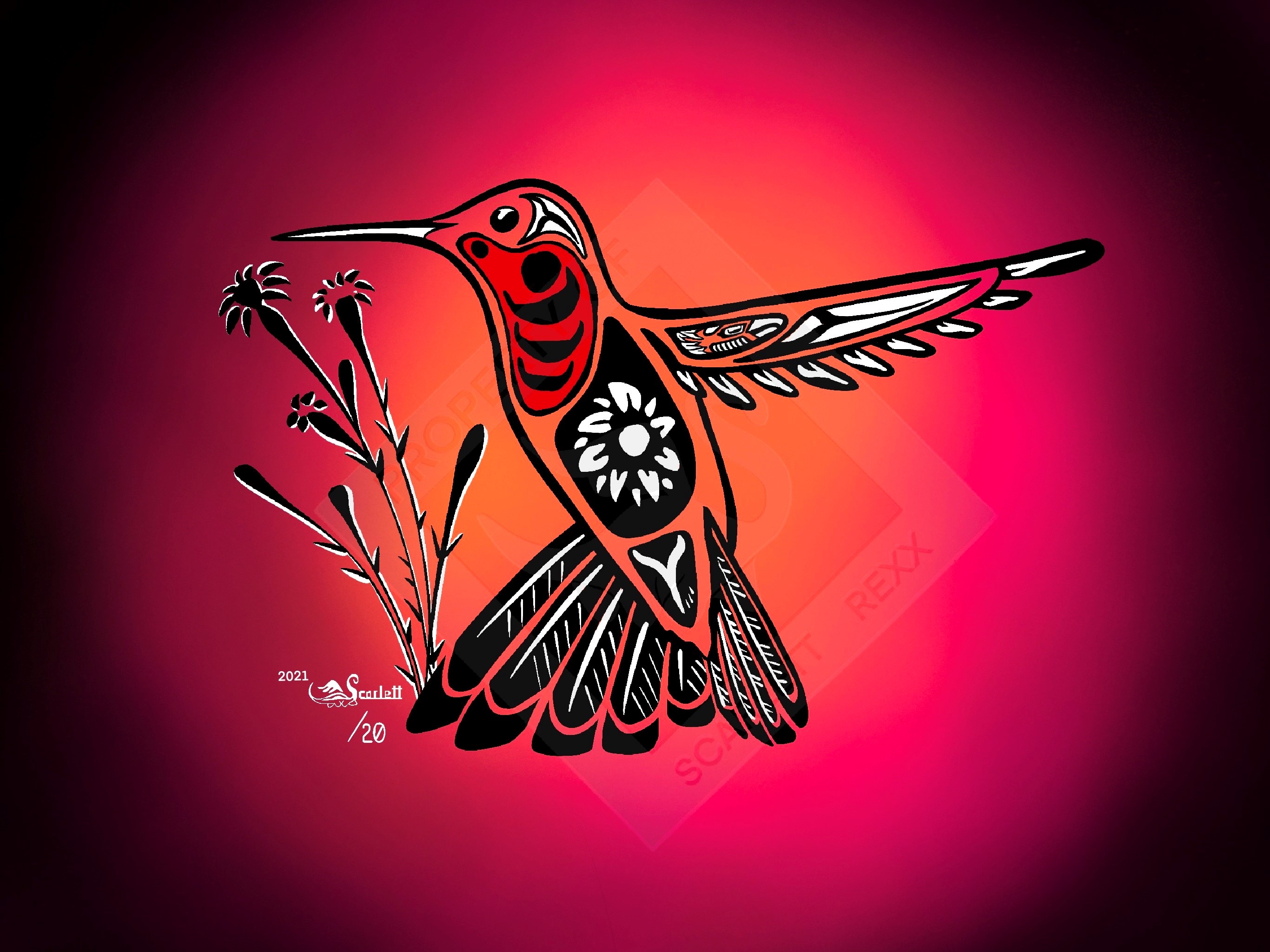 west coast style humming bird